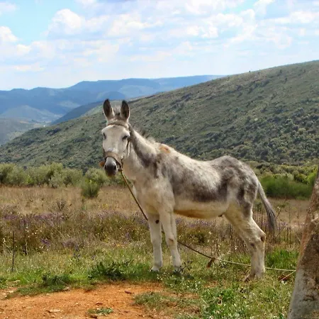 Moradias Do Douro Internacional - M2 *