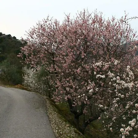 Alloggio per agriturismo Moradias Do Douro Internacional - M2 Freixo de Espada à Cinta