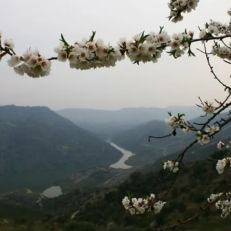 Moradias Do Douro Internacional - M2 Alloggio per agriturismo